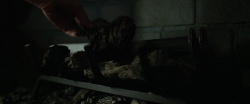 gone_girl_frames_frame_166.jpg
