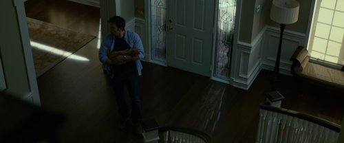gone_girl_frames_frame_21.jpg