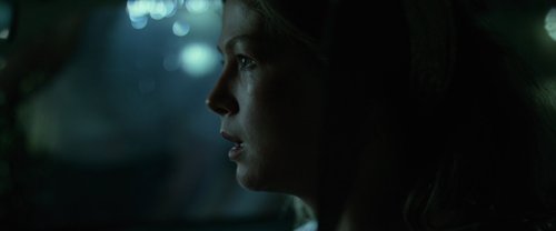 gone_girl_frames_frame_239.jpg