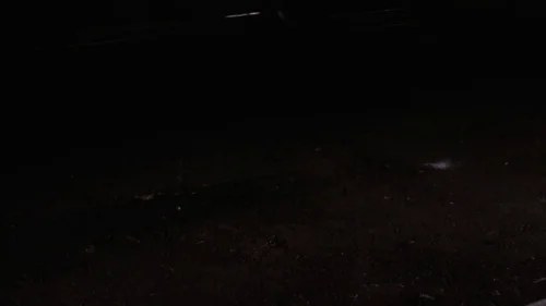 goodfellas_frame_1741118216.0293438.webp