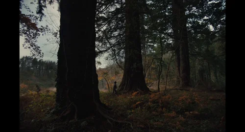 gretel_&_hansel_frame_1739920982.7101731.webp