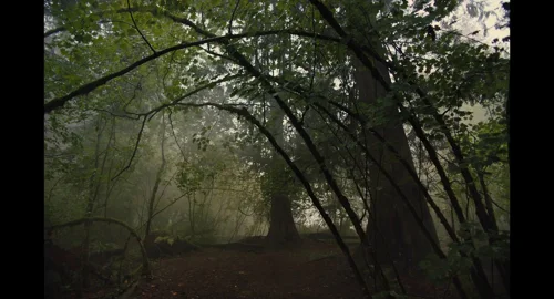 gretel_&_hansel_frame_1739921000.8258715.webp