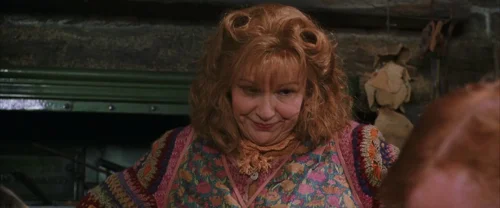 harry_potter_and_the_chamber_of_secrets_frame_1738974184.8203506.webp