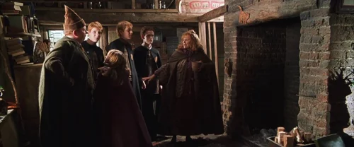 harry_potter_and_the_chamber_of_secrets_frame_1738974185.347533.webp