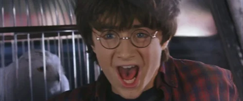 harry_potter_and_the_chamber_of_secrets_frame_1738974187.3193974.webp