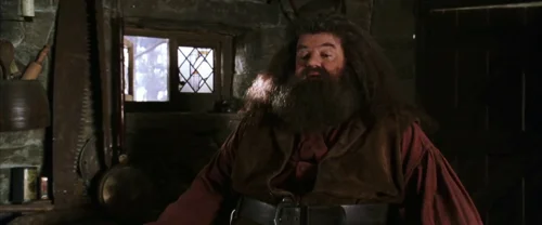 harry_potter_and_the_chamber_of_secrets_frame_1738974190.2496688.webp