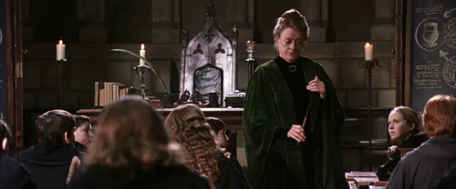 harry_potter_and_the_chamber_of_secrets_frame_1738974192.4668982.webp