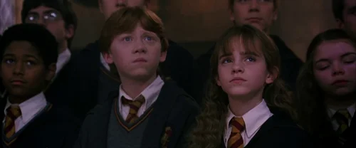 harry_potter_and_the_chamber_of_secrets_frame_1738974196.4167526.webp