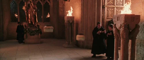 harry_potter_and_the_chamber_of_secrets_frame_1738974199.1335597.webp