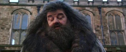 harry_potter_and_the_chamber_of_secrets_frame_1738974202.7126517.webp