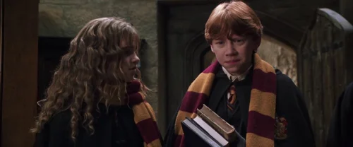 harry_potter_and_the_chamber_of_secrets_frame_1738974202.9366832.webp