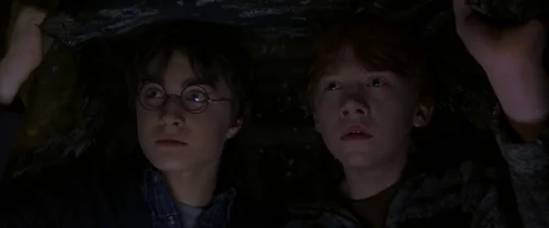 harry_potter_and_the_chamber_of_secrets_frame_1738974203.7785265.webp