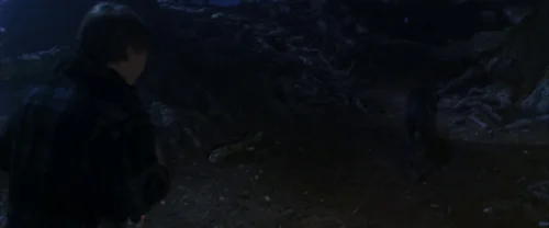 harry_potter_and_the_chamber_of_secrets_frame_1738974204.7791932.webp