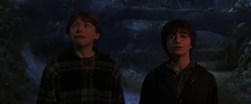 harry_potter_and_the_chamber_of_secrets_frame_1738974205.5141323.webp