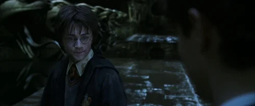 harry_potter_and_the_chamber_of_secrets_frame_1738974209.8328.webp