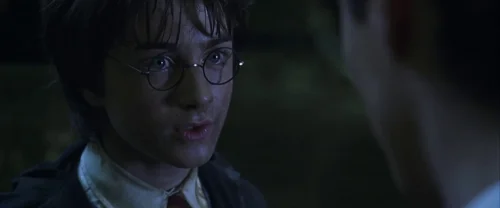 harry_potter_and_the_chamber_of_secrets_frame_1738974210.046237.webp