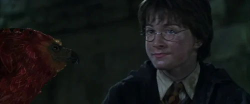 harry_potter_and_the_chamber_of_secrets_frame_1738974213.775176.webp
