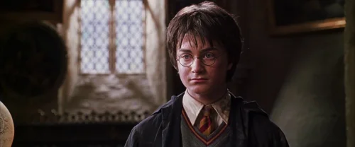 harry_potter_and_the_chamber_of_secrets_frame_1738974214.57475.webp