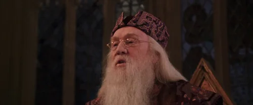 harry_potter_and_the_chamber_of_secrets_frame_1738974216.2638495.webp