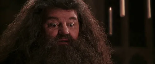 harry_potter_and_the_chamber_of_secrets_frame_1738974216.5414226.webp