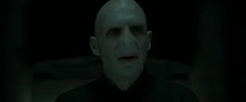 harry_potter_and_the_deathly_hallows:_part_1_frame_1739127999.4950078.webp