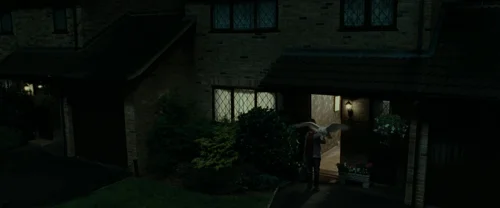 harry_potter_and_the_deathly_hallows:_part_1_frame_1739128001.0740116.webp