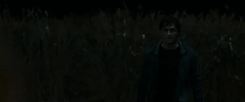 harry_potter_and_the_deathly_hallows:_part_1_frame_1739128002.0516975.webp