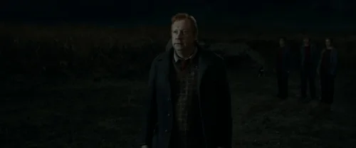 harry_potter_and_the_deathly_hallows:_part_1_frame_1739128002.5303352.webp
