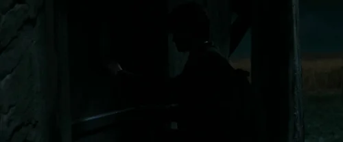 harry_potter_and_the_deathly_hallows:_part_1_frame_1739128003.032639.webp