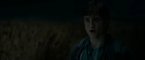 harry_potter_and_the_deathly_hallows:_part_1_frame_1739128003.2968967.webp