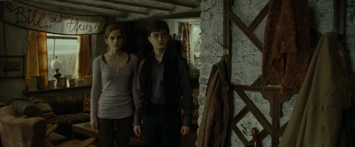 harry_potter_and_the_deathly_hallows:_part_1_frame_1739128004.0411675.webp