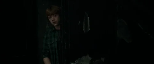 harry_potter_and_the_deathly_hallows:_part_1_frame_1739128008.475519.webp