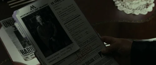 harry_potter_and_the_deathly_hallows:_part_1_frame_1739128010.3829641.webp