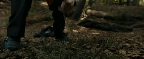 harry_potter_and_the_deathly_hallows:_part_1_frame_1739128012.6124418.webp