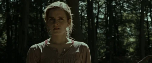 harry_potter_and_the_deathly_hallows:_part_1_frame_1739128013.4351594.webp
