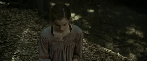 harry_potter_and_the_deathly_hallows:_part_1_frame_1739128013.9604225.webp
