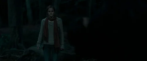 harry_potter_and_the_deathly_hallows:_part_1_frame_1739128014.404487.webp