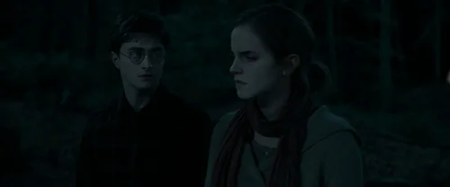 harry_potter_and_the_deathly_hallows:_part_1_frame_1739128014.6264772.webp