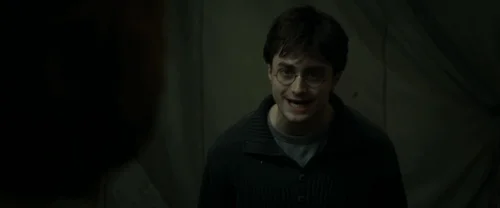 harry_potter_and_the_deathly_hallows:_part_1_frame_1739128015.6776452.webp