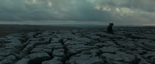 harry_potter_and_the_deathly_hallows:_part_1_frame_1739128017.077252.webp