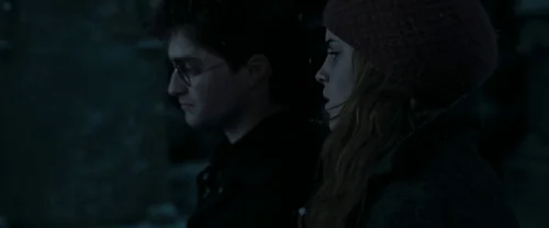 harry_potter_and_the_deathly_hallows:_part_1_frame_1739128018.4393744.webp
