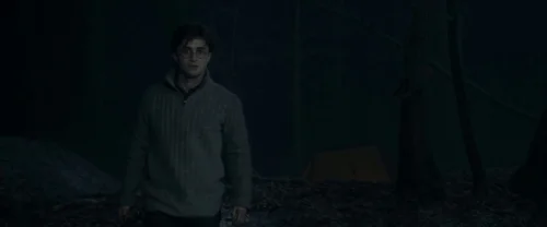 harry_potter_and_the_deathly_hallows:_part_1_frame_1739128020.3673084.webp