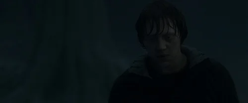 harry_potter_and_the_deathly_hallows:_part_1_frame_1739128021.07935.webp