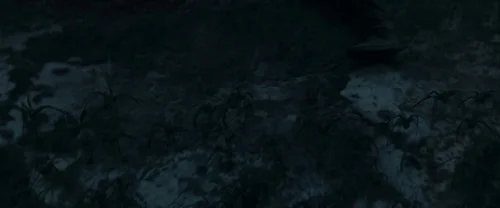 harry_potter_and_the_deathly_hallows:_part_1_frame_1739128021.34075.webp