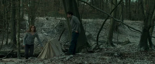 harry_potter_and_the_deathly_hallows:_part_1_frame_1739128022.0992346.webp