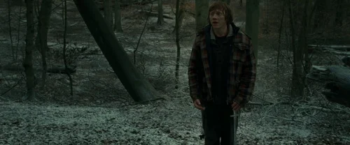 harry_potter_and_the_deathly_hallows:_part_1_frame_1739128022.388212.webp