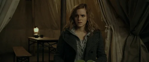 harry_potter_and_the_deathly_hallows:_part_1_frame_1739128023.262354.webp