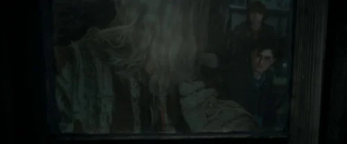 harry_potter_and_the_deathly_hallows:_part_1_frame_1739128024.9509163.webp