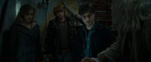harry_potter_and_the_deathly_hallows:_part_1_frame_1739128025.1928244.webp