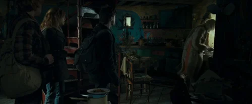 harry_potter_and_the_deathly_hallows:_part_1_frame_1739128025.4470992.webp
